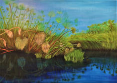 Okavango, 70x100